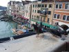 Venetia