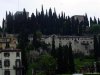 Verona