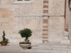 Verona