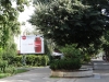 Vidin
