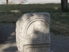 Vidin