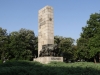 Vidin