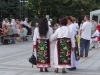 Vidin