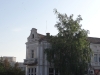Vidin