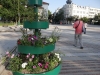 Vidin