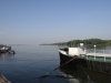 Vidin