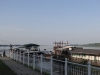 Vidin