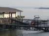 Vidin