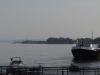 Vidin