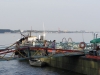 Vidin