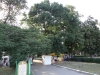 Vidin