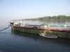 Vidin