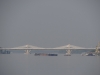 Vidin