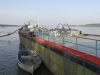 Vidin