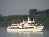 Vidin