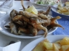 Vidin