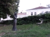 Vidin