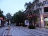Vidin