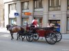 Viena