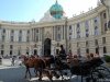 Viena