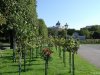 Viena