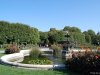 Viena