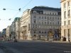 Viena