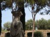 Villa Adriana