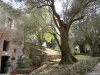 Villa Adriana