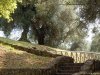 Villa Adriana