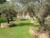 Villa Adriana
