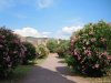 Villa Adriana