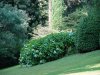 Villa Melzi