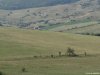 Viscri - Vedere din turnul bisericii