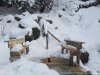 Hohe Rinne