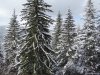 Hohe Rinne