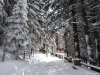 Hohe Rinne
