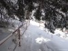 Hohe Rinne