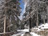 Hohe Rinne