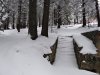 Hohe Rinne