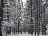 Hohe Rinne