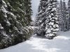 Hohe Rinne