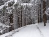 Hohe Rinne