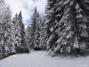 Hohe Rinne