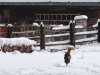 Hohe Rinne