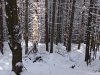 Hohe Rinne