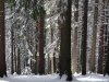 Hohe Rinne