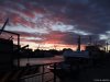 Acvariul din Genova