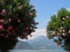 Bellagio