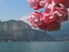 Bellagio
